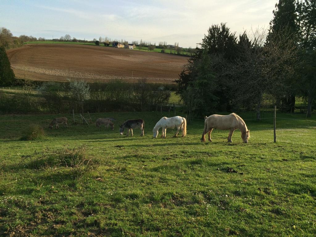 La Barillerie Bed & Breakfast La Fleche Bagian luar foto